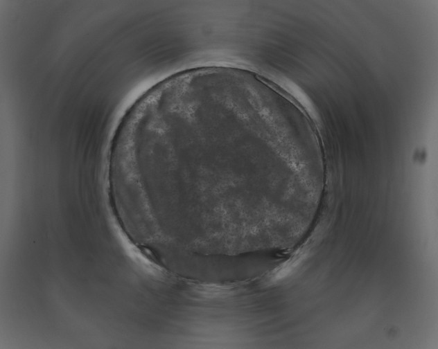 X0000091951144200710041003