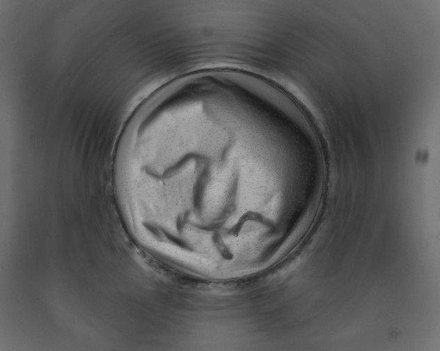 X0000091951145200710041003