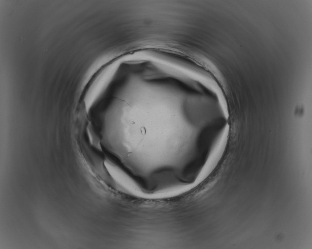 X0000091951146200710041003