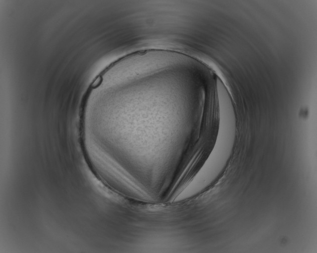 X0000091951147200710041003