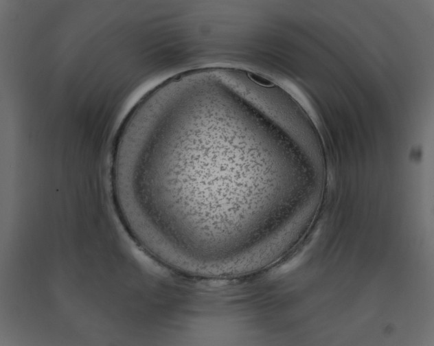X0000091951149200710041003