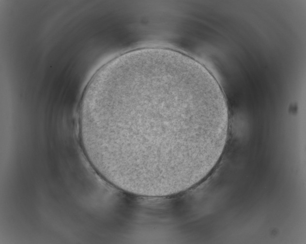 X0000091951150200710041003