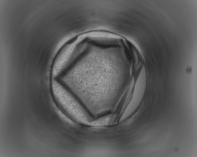 X0000091951151200710041003