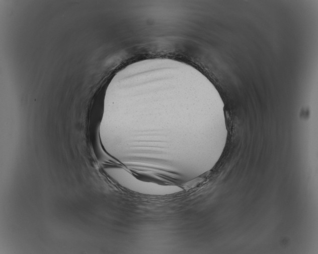 X0000091951153200710041002