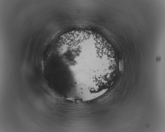 X0000091951155200710041002