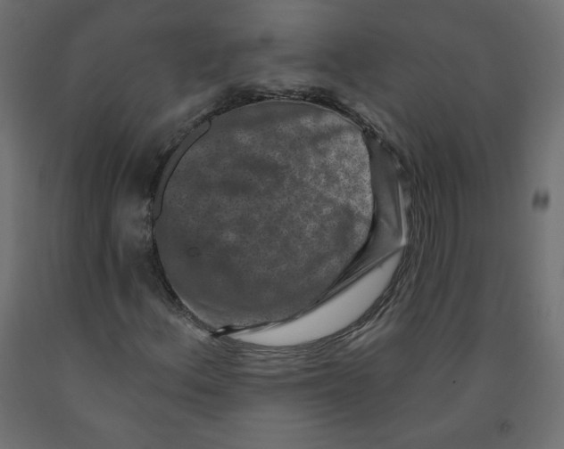 X0000091951156200710041002