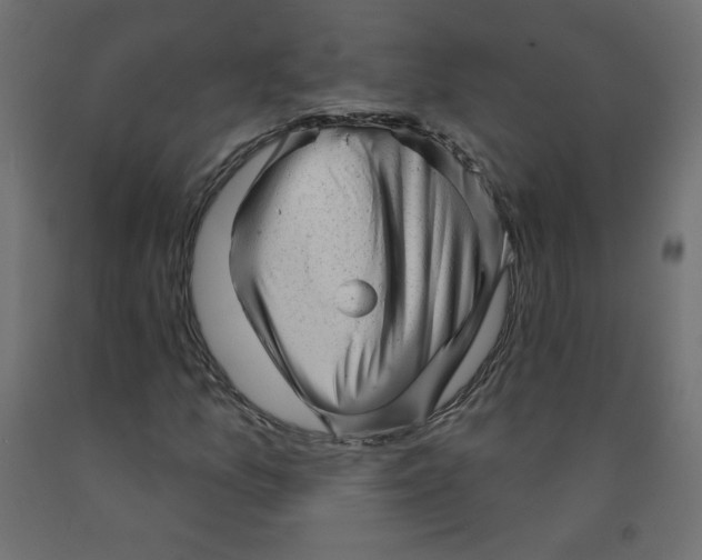 X0000091951157200710041002