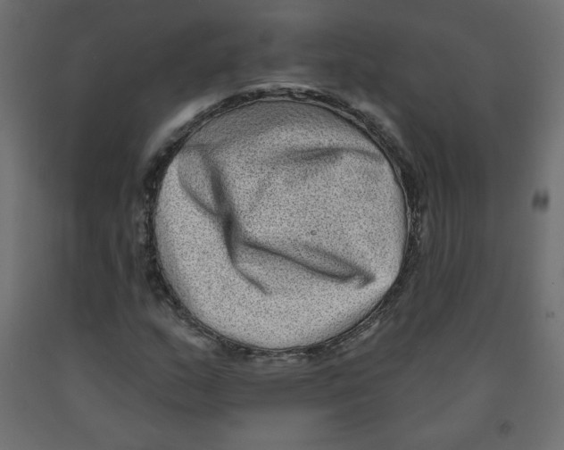 X0000091951159200710041002