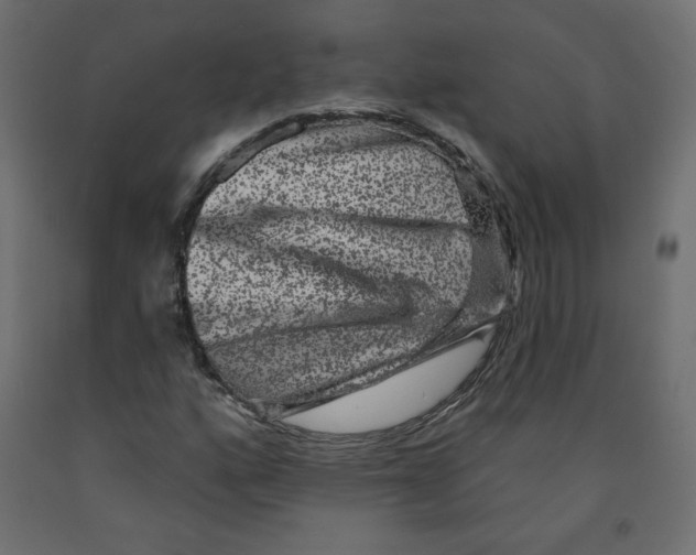 X0000091951160200710041002