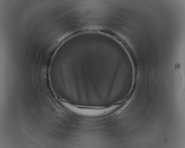 X0000091951161200710041002
