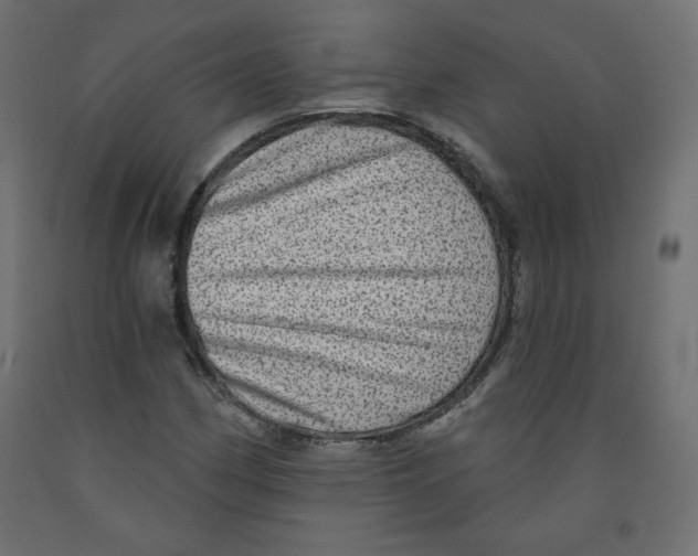 X0000091951162200710041002