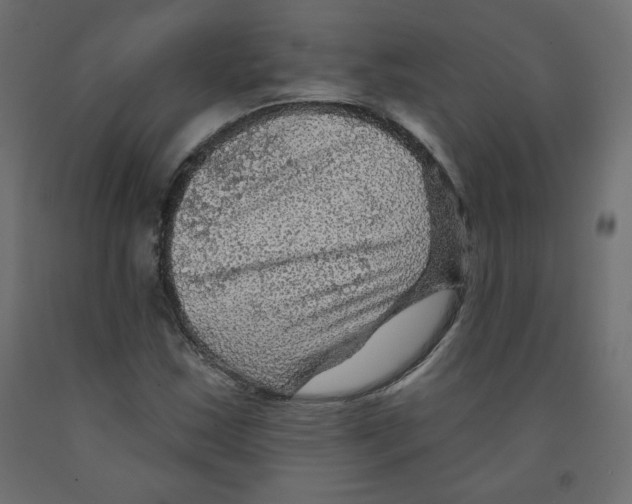X0000091951163200710041002