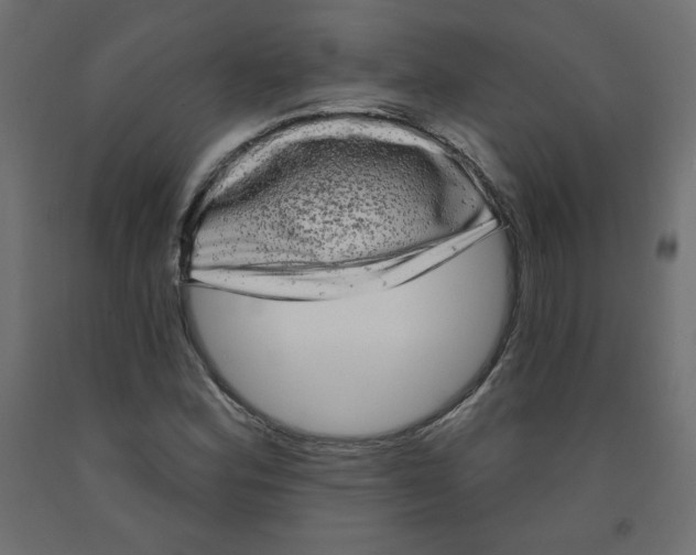 X0000091951164200710041002