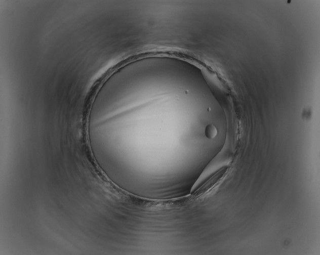 X0000091951165200710041002