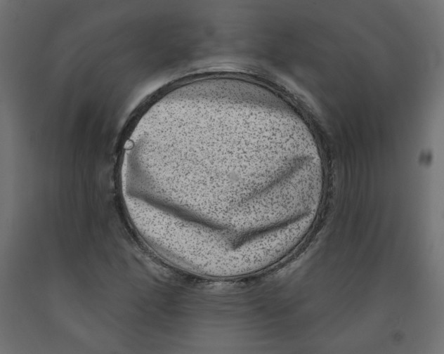 X0000091951166200710041002