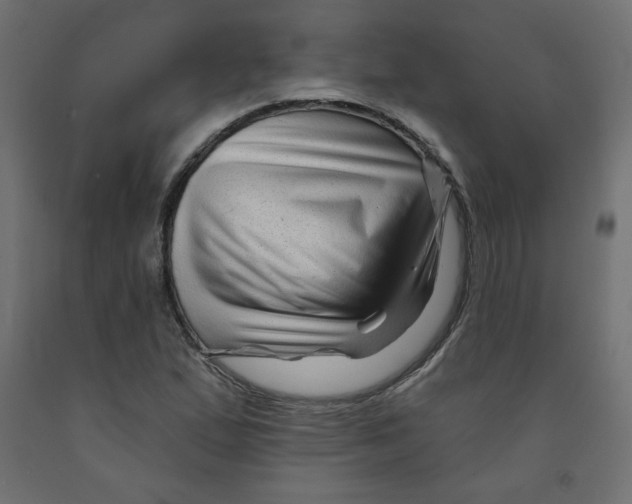 X0000091951167200710041002