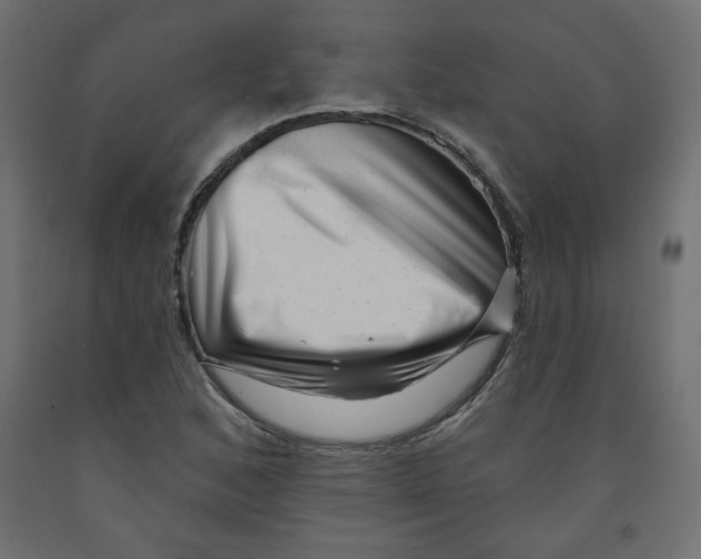 X0000091951168200710041002