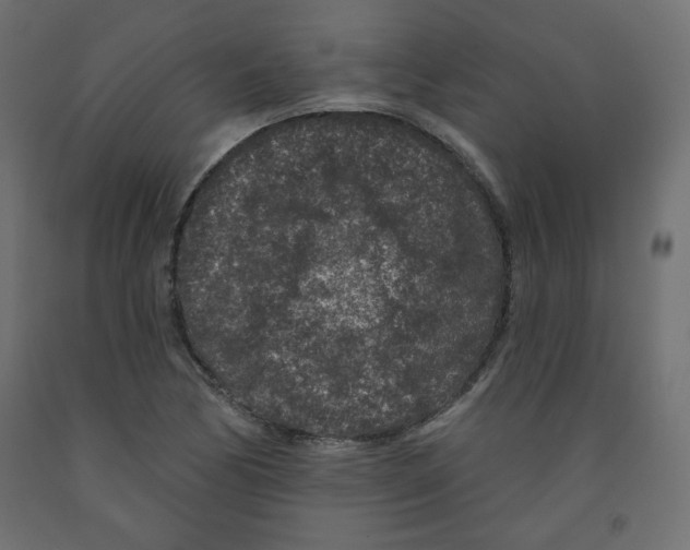 X0000091951170200710041002