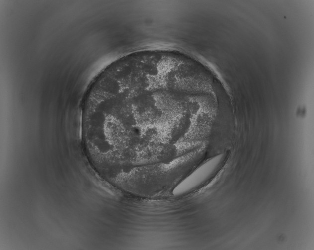 X0000091951171200710041002