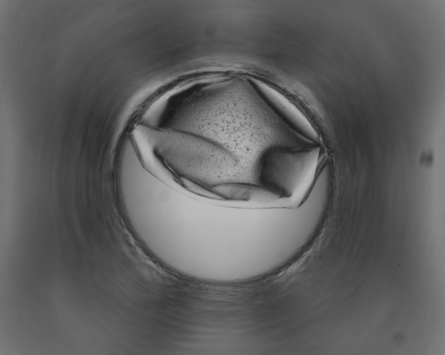 X0000091951172200710041002