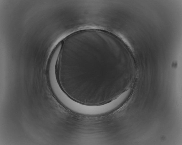 X0000091951173200710041002