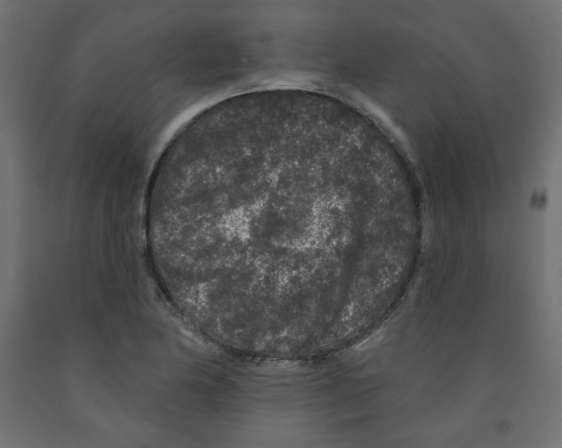 X0000091951174200710041002