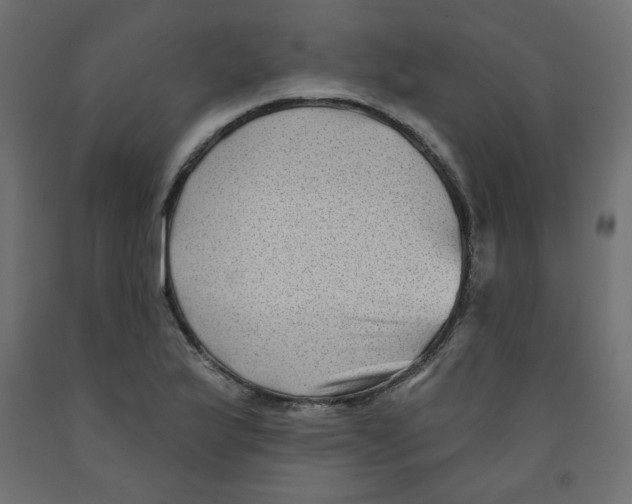 X0000091951175200710041002