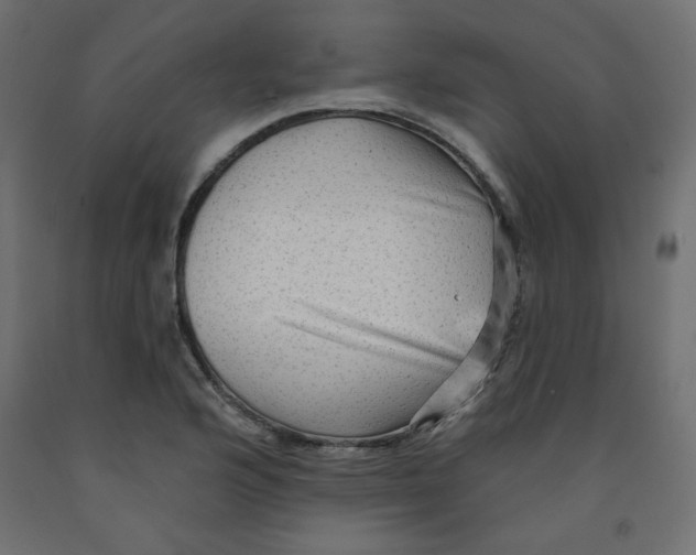 X0000091951176200710041002