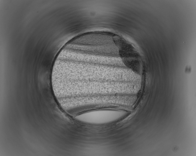 X0000091951177200710041002
