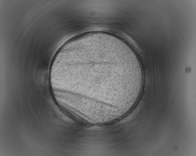 X0000091951178200710041002