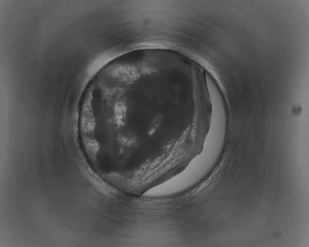 X0000091951179200710041002
