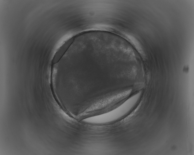 X0000091951180200710041002