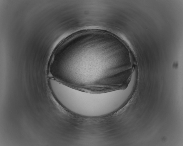 X0000091951181200710041002