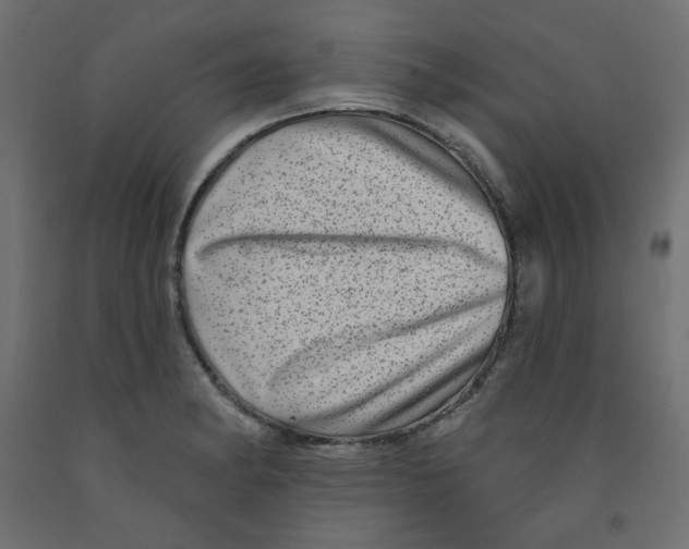X0000091951182200710041002