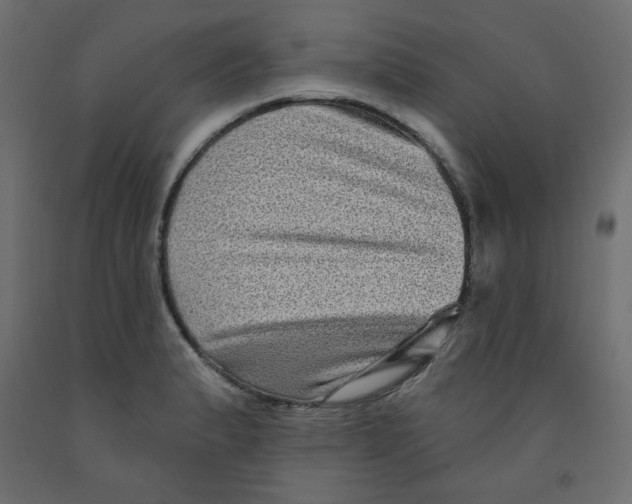 X0000091951183200710041002