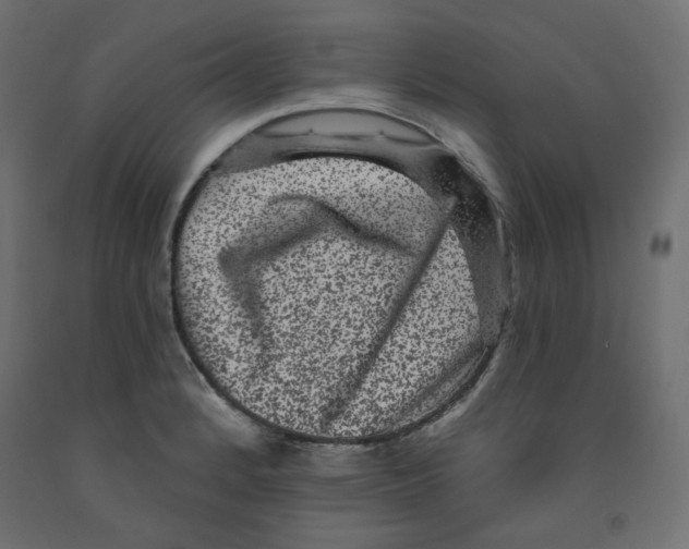 X0000091951184200710041002