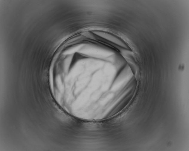 X0000091951185200710041002