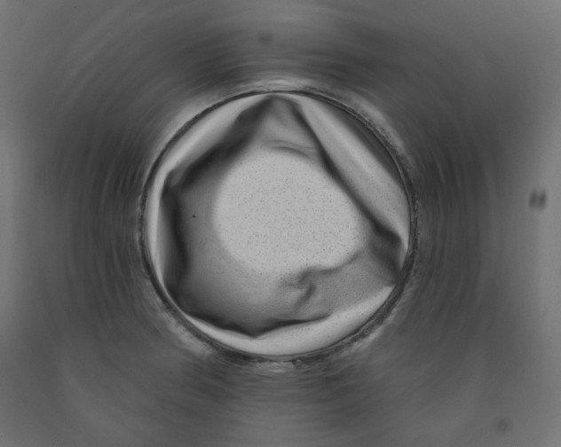 X0000091951186200710041002