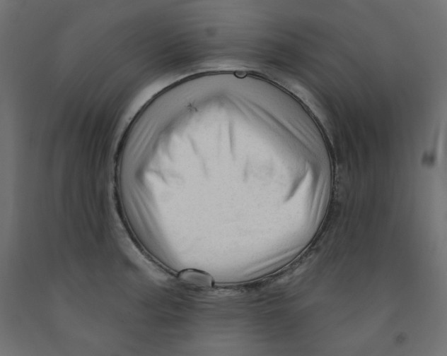 X0000091951187200710041002