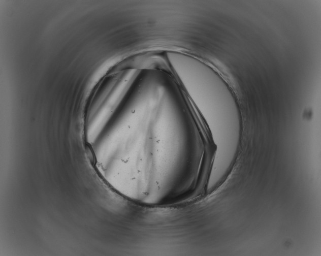 X0000091951188200710041002