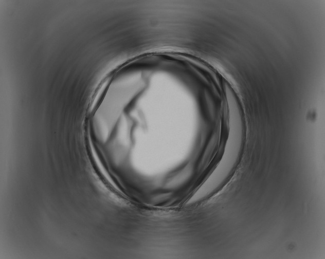 X0000091951189200710041002