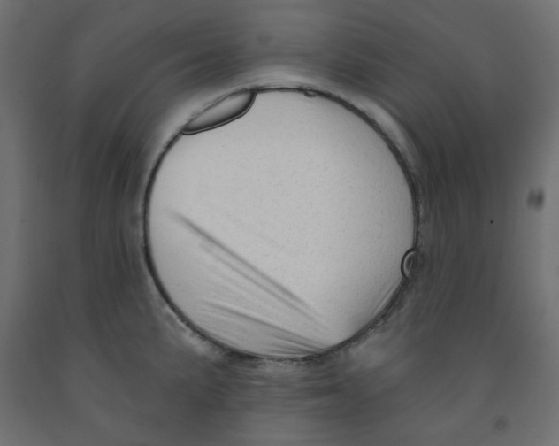 X0000091951191200710041002