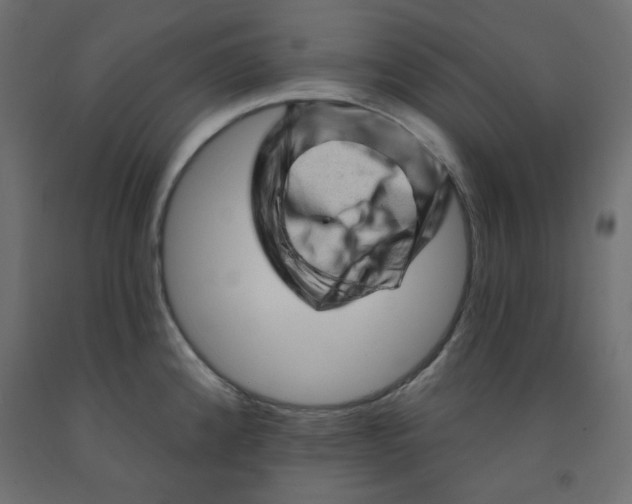 X0000091951192200710041002