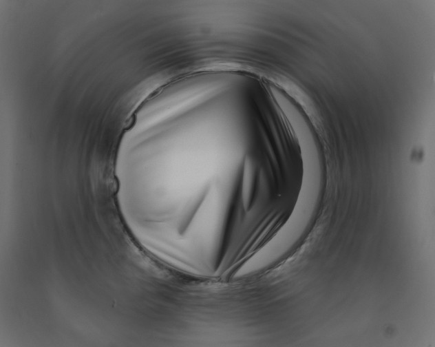 X0000091951193200710041002