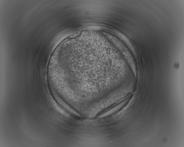 X0000091951194200710041002