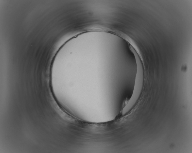 X0000091951195200710041002