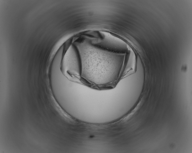 X0000091951196200710041002
