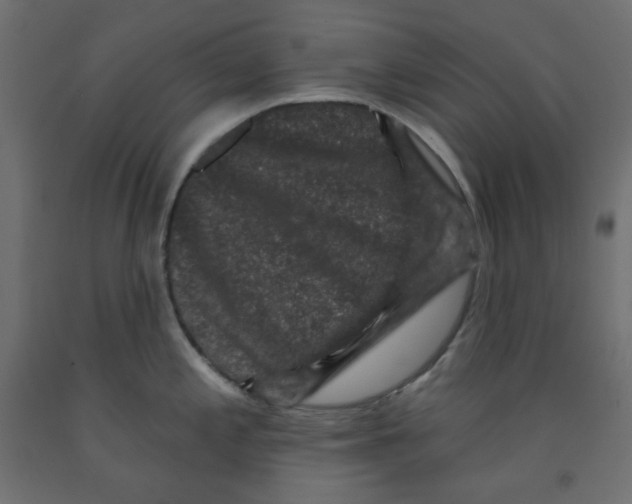 X0000091951197200710041002