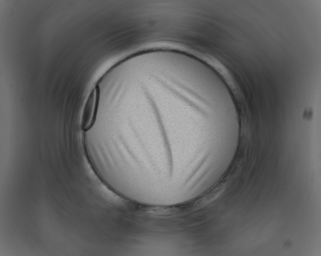 X0000091951199200710041002