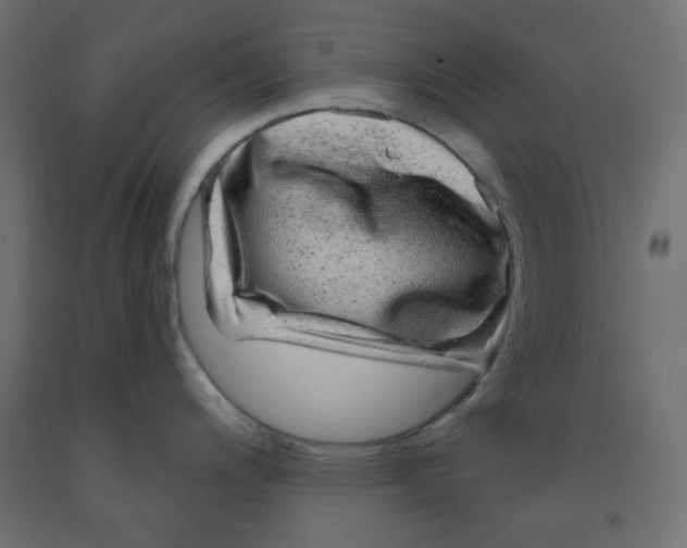 X0000091951200200710041002
